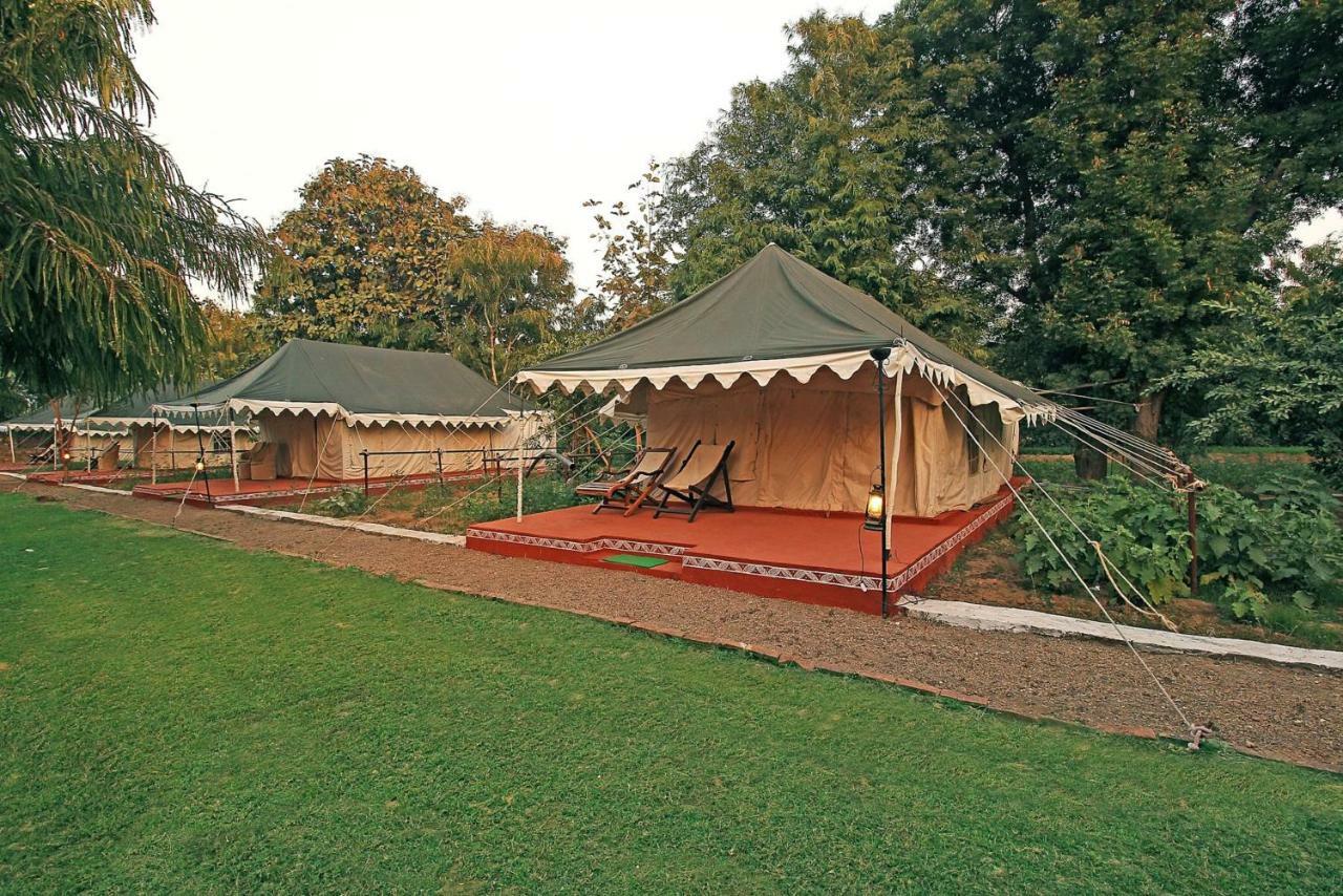 Bhadrawati - A Riverside Safari Lodge Ranthambore Exteriör bild