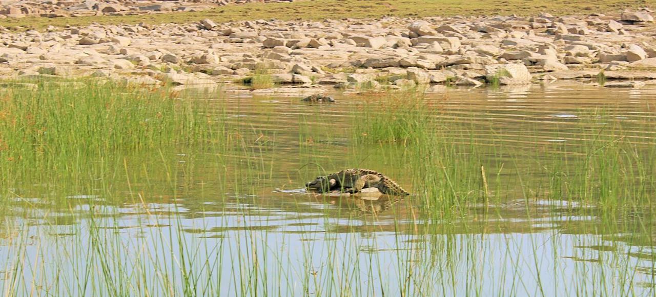 Bhadrawati - A Riverside Safari Lodge Ranthambore Exteriör bild